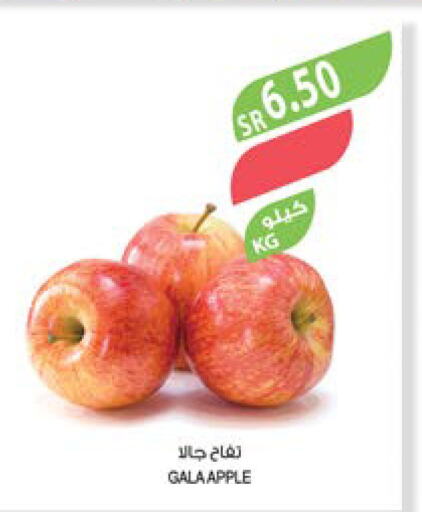  Apples  in Farm  in KSA, Saudi Arabia, Saudi - Jubail