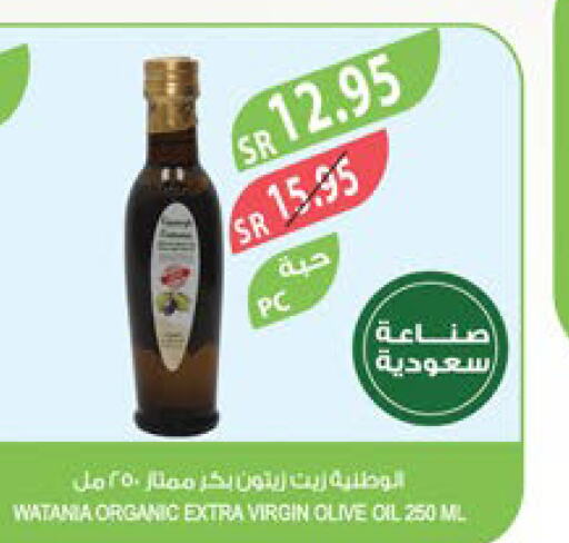  Virgin Olive Oil  in Farm  in KSA, Saudi Arabia, Saudi - Najran