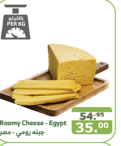  Roumy Cheese  in Al Raya in KSA, Saudi Arabia, Saudi - Al Qunfudhah