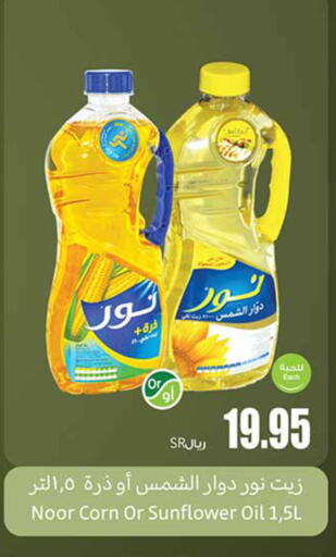 NOOR Sunflower Oil  in Othaim Markets in KSA, Saudi Arabia, Saudi - Medina