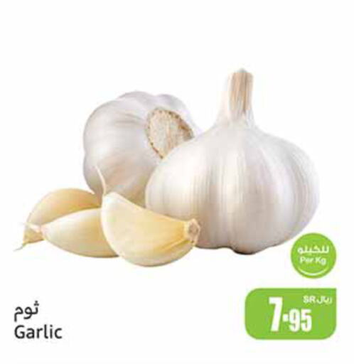 Garlic