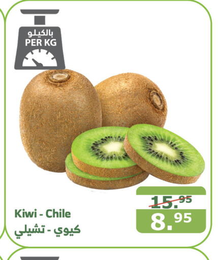  Kiwi  in Al Raya in KSA, Saudi Arabia, Saudi - Mecca