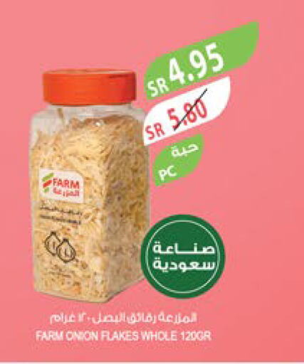  Cereals  in Farm  in KSA, Saudi Arabia, Saudi - Jazan