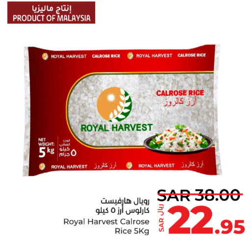  Calrose Rice  in LULU Hypermarket in KSA, Saudi Arabia, Saudi - Yanbu