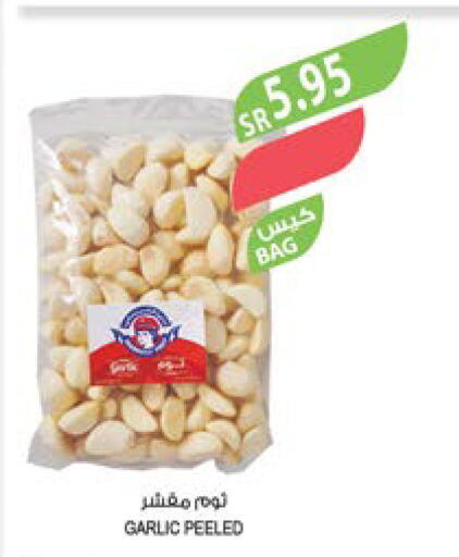  Garlic  in المزرعة in مملكة العربية السعودية, السعودية, سعودية - عرعر