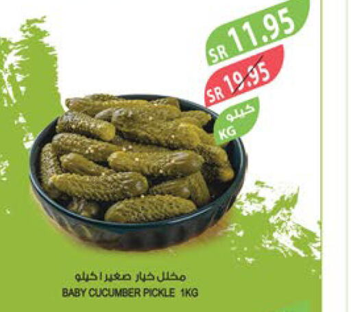  Pickle  in المزرعة in مملكة العربية السعودية, السعودية, سعودية - الجبيل‎