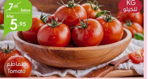  Tomato  in Manuel Market in KSA, Saudi Arabia, Saudi - Jeddah