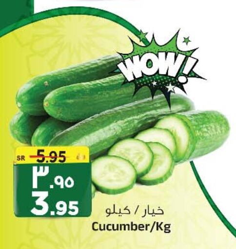  Cucumber  in المدينة هايبرماركت in مملكة العربية السعودية, السعودية, سعودية - الرياض