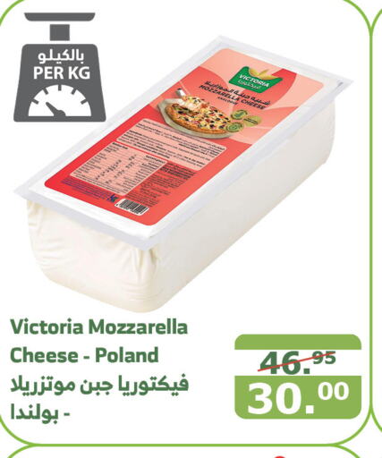  Mozzarella  in Al Raya in KSA, Saudi Arabia, Saudi - Jazan