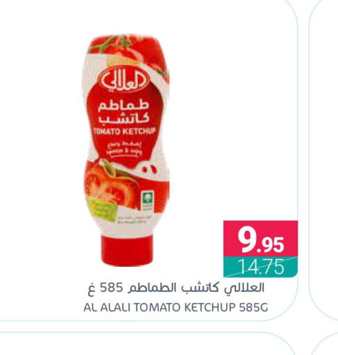 AL ALALI Tomato Ketchup  in Muntazah Markets in KSA, Saudi Arabia, Saudi - Dammam