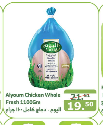 AL YOUM Fresh Whole Chicken  in Al Raya in KSA, Saudi Arabia, Saudi - Al Qunfudhah