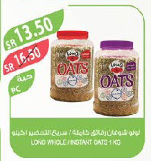 LULU Oats  in Farm  in KSA, Saudi Arabia, Saudi - Yanbu