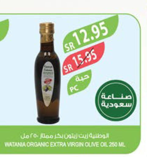  Virgin Olive Oil  in Farm  in KSA, Saudi Arabia, Saudi - Al Hasa