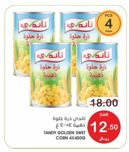 TANDY   in  مـزايــا in مملكة العربية السعودية, السعودية, سعودية - سيهات