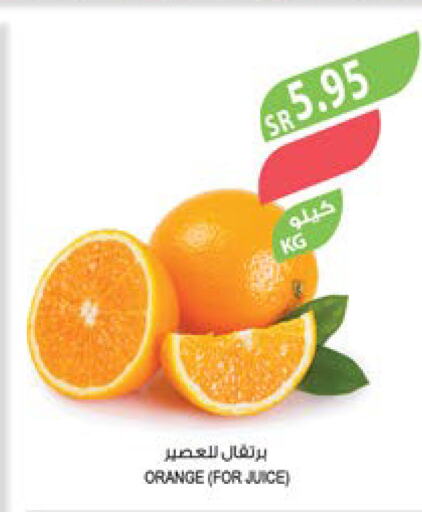  Orange  in Farm  in KSA, Saudi Arabia, Saudi - Dammam