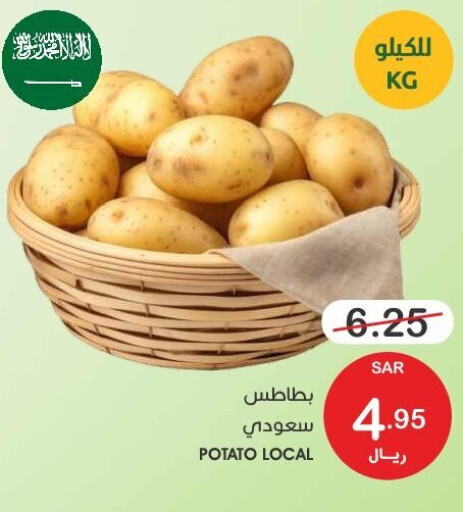  Potato  in  مـزايــا in مملكة العربية السعودية, السعودية, سعودية - سيهات