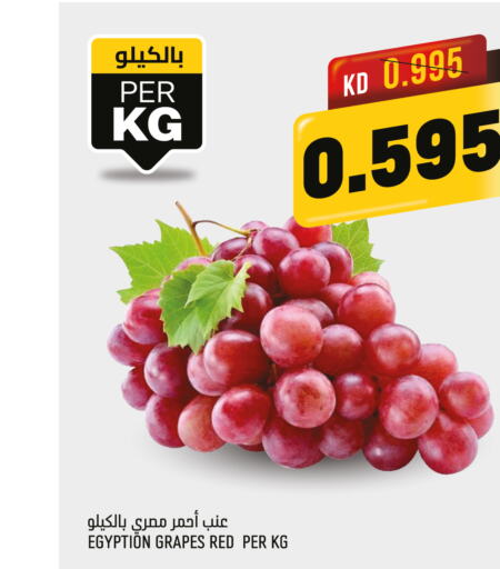  Grapes  in Oncost in Kuwait - Jahra Governorate