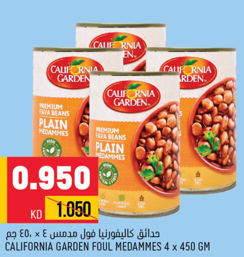 CALIFORNIA GARDEN Fava Beans  in أونكوست in الكويت - مدينة الكويت