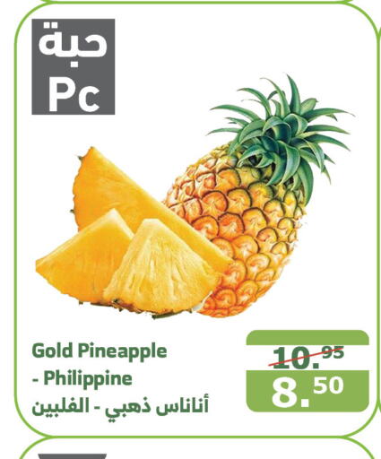  Pineapple  in Al Raya in KSA, Saudi Arabia, Saudi - Al Qunfudhah