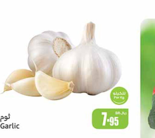  Garlic  in أسواق عبد الله العثيم in مملكة العربية السعودية, السعودية, سعودية - الجبيل‎