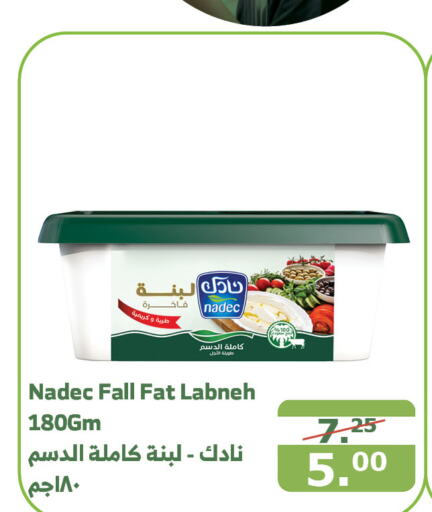 NADEC Labneh  in Al Raya in KSA, Saudi Arabia, Saudi - Yanbu