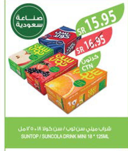 SUNTOP   in Farm  in KSA, Saudi Arabia, Saudi - Dammam