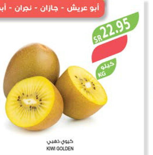  Kiwi  in Farm  in KSA, Saudi Arabia, Saudi - Jazan