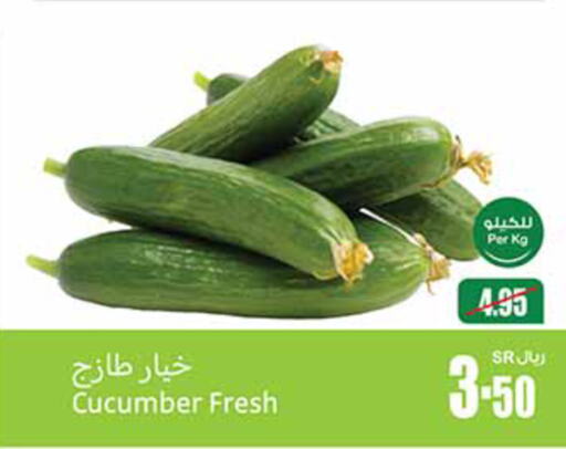 Cucumber