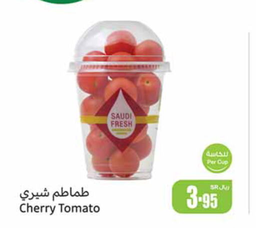  Tomato  in أسواق عبد الله العثيم in مملكة العربية السعودية, السعودية, سعودية - عرعر