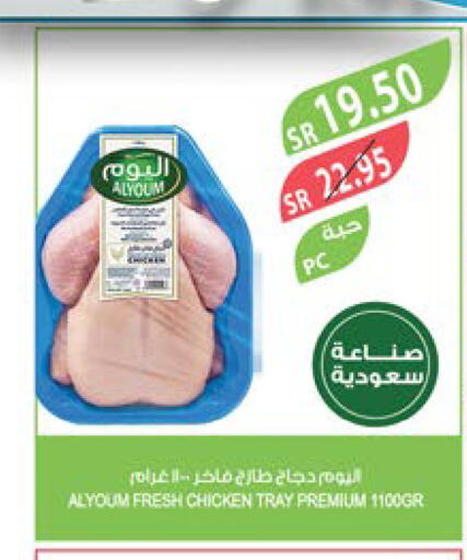  Fresh Whole Chicken  in Farm  in KSA, Saudi Arabia, Saudi - Yanbu