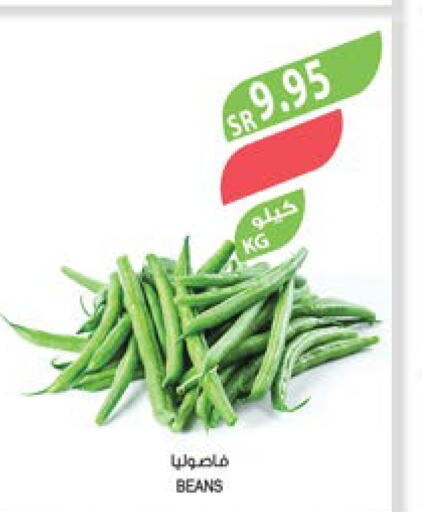  Beans  in المزرعة in مملكة العربية السعودية, السعودية, سعودية - عرعر