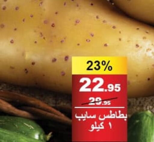  Potato  in محمود الفار in Egypt - القاهرة