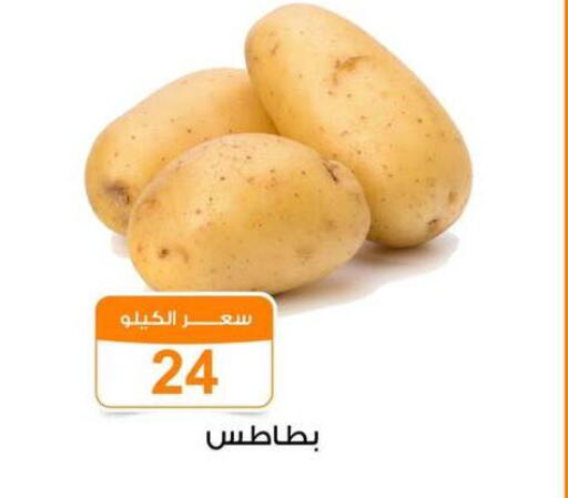  Potato  in جملة ماركت in Egypt - القاهرة