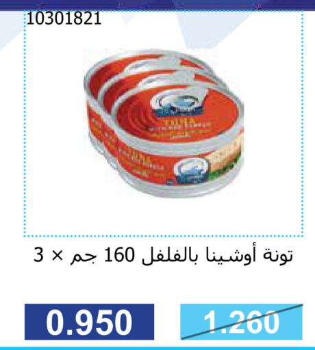  Tuna - Canned  in جمعية مشرف التعاونية in الكويت - مدينة الكويت