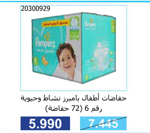 Pampers   in جمعية مشرف التعاونية in الكويت - مدينة الكويت