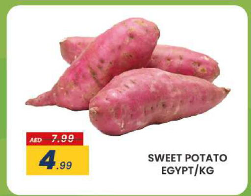  Sweet Potato  in مدهور سوبرماركت in الإمارات العربية المتحدة , الامارات - دبي