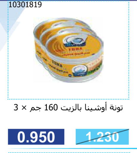  Tuna - Canned  in جمعية مشرف التعاونية in الكويت - مدينة الكويت