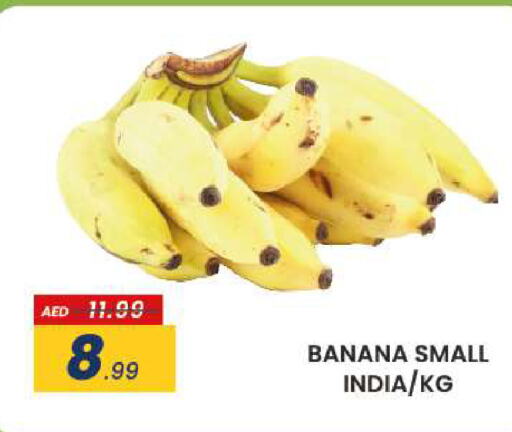  Banana  in مدهور سوبرماركت in الإمارات العربية المتحدة , الامارات - الشارقة / عجمان