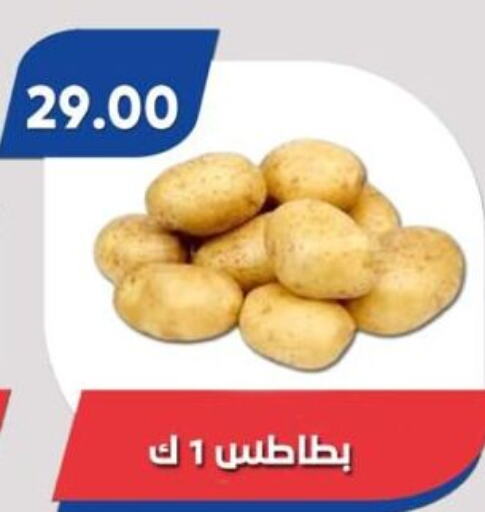  Potato  in باسم ماركت in Egypt - القاهرة