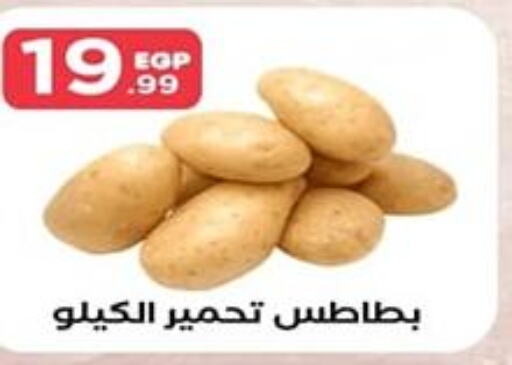  Potato  in مارت فيل in Egypt - القاهرة