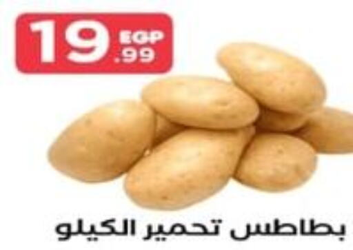  Potato  in المحلاوي ستورز in Egypt - القاهرة