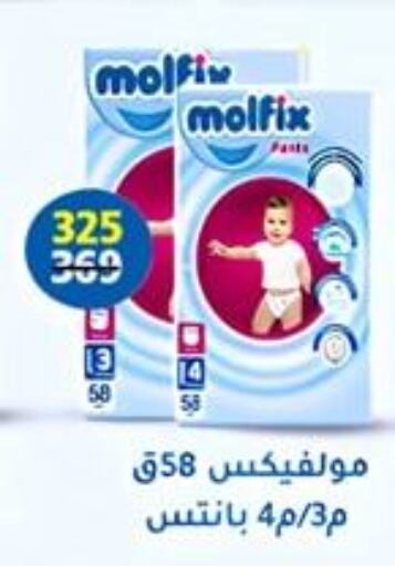 MOLFIX   in Wekalet Elmansoura - Dakahlia  in Egypt - Cairo