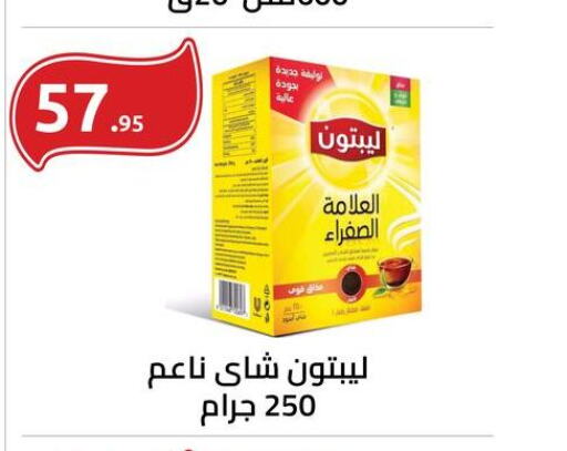 Lipton Tea Powder  in الهواري in Egypt - القاهرة