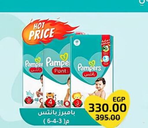 Pampers   in Wekalet Elmansoura - Dakahlia  in Egypt - Cairo