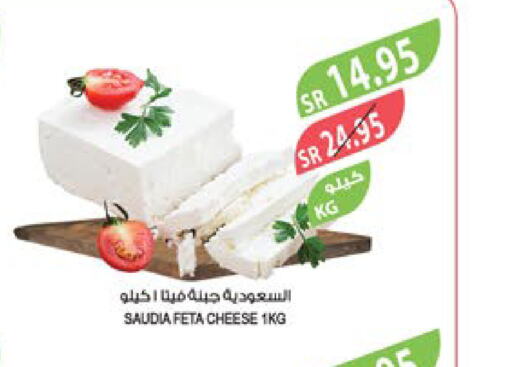 SAUDIA Feta  in Farm  in KSA, Saudi Arabia, Saudi - Tabuk