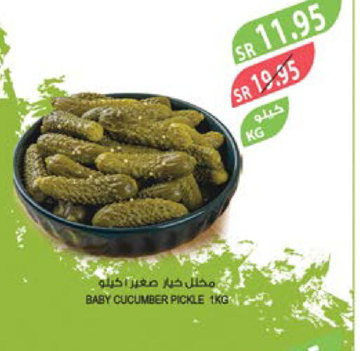  Pickle  in Farm  in KSA, Saudi Arabia, Saudi - Tabuk