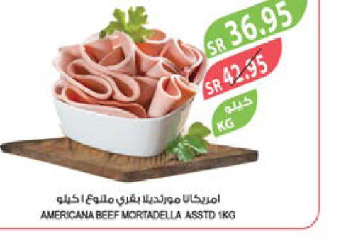 AMERICANA Beef  in Farm  in KSA, Saudi Arabia, Saudi - Abha