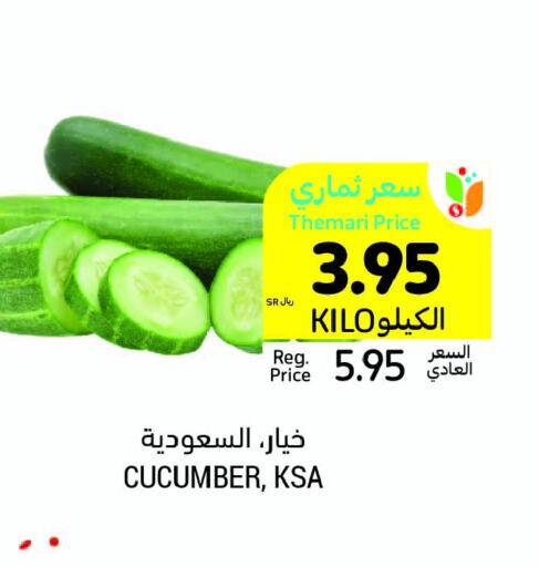  Cucumber  in أسواق التميمي in مملكة العربية السعودية, السعودية, سعودية - جدة