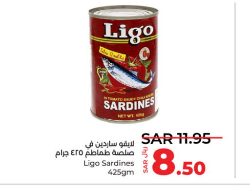 Sardines