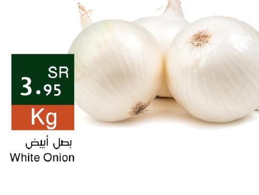  White Onion  in Hala Markets in KSA, Saudi Arabia, Saudi - Dammam